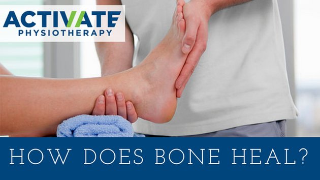 How does bone heal?